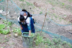 Trẻ em sinh ra trẻ em: Ký ức buồn về tình trạng tảo hôn trên cao nguyên đá