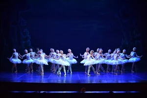 Trình diễn vở ballet 'Hồ Thiên Nga' một cách đầy đủ tại Việt Nam