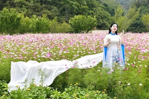 NSƯT Phương Nga làm MV mùa Vu Lan dành tặng những người mẹ Việt Nam