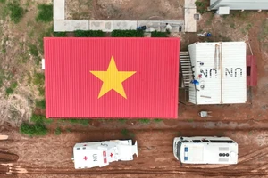 Sơn cờ Tổ quốc trên mái nhà gần 100 m² ở Châu Phi 