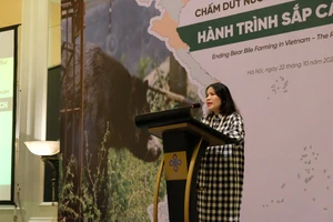 Hà Nội có số lượng gấu bị nuôi nhốt nhiều nhất Việt Nam