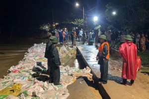 Bộ đội Sư đoàn 315 cùng nhân dân trắng đêm ngăn sóng, giữ bờ