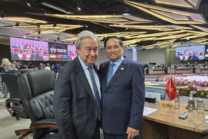 WHO và Liên hợp quốc sẽ hỗ trợ Việt Nam khắc phục hậu quả lũ lụt