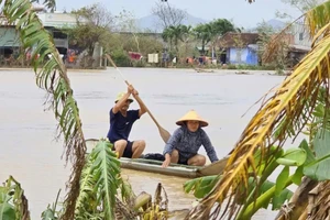 Cộng đồng quốc tế hỗ trợ Việt Nam gần 16 triệu USD khắc phục hậu quả thiên tai