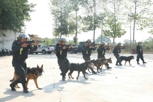 Tăng cường năng lực sử dụng chó nghiệp vụ cho nhiều đơn vị công an phía Nam