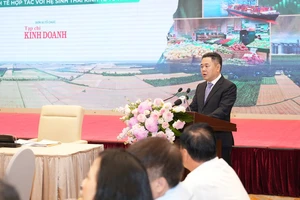 Phó Thống đốc: Hợp tác xã khó tiếp cận nguồn vốn tín dụng vì thiếu minh bạch dòng tiền