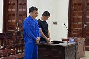 Buôn bán gần 900kg vảy tê tê, hai bị cáo bị phạt mỗi người 8 năm tù