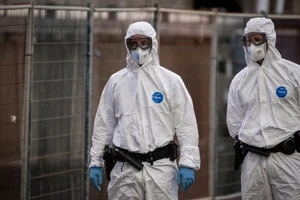 Việt Nam chưa phát hiện trường hợp nào nhiễm virus Hanta