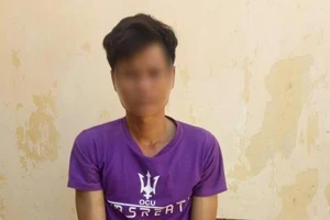 Tạm giam người xúc phạm Quốc kỳ, cờ Đảng ở Trà Vinh