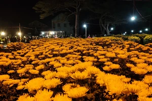 Pleiku: Người bán hoa rơi nước mắt đêm 30