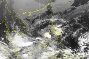 Biển động mạnh, Miền Trung mưa to, rét đậm từ mùng 6 đến mùng 9 Tết