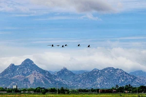 Chuyện sau ngày 30-4-1975: Mùa đoàn tụ gia đình 