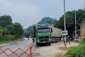 Tạm giữ hình sự tài xế vi phạm nồng độ cồn lăng mạ lực lượng CSGT