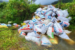 Hàng chục tấn nông sản bị mắc kẹt do đường sình lầy 