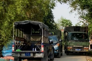 Công An truy bắt kẻ giết người, cướp của ở Hóc Môn đang lẩn trốn tại Long An