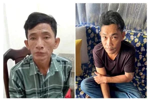 Thuê mai vàng chơi tết thì bị trộm