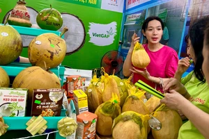 Người dân, du khách đội mưa đến dự Festival 100 năm Dừa sáp Trà Vinh