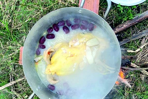 Sâm tiến vua vào mâm cơm tặng mẹ