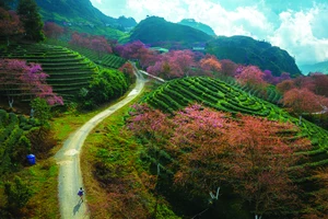 Ảnh: Nguyễn Hoành Sơn - Bùi Văn Hải