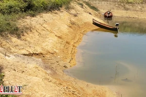 Cạn kiệt nước tưới đe doạ cây trồng ở tỉnh Lâm Đồng 