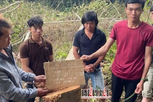 Bắt giữ 6 người phá gần 1 ha rừng ở Lâm Đồng