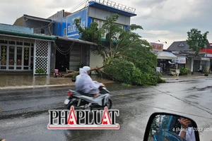 Lốc xoáy gây thiệt hại nhiều tài sản ở Bảo Lộc