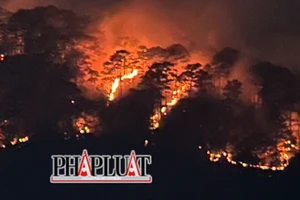 Cháy rừng phòng hộ đèo Prenn