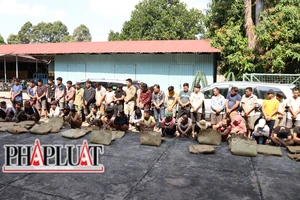 1 trường gà ở Tây Ninh cá cược cao nhất tới 6 tỉ đồng mỗi ngày