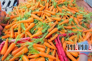 Tại sao cà rốt Trung Quốc lại to và mập, lý do không phải ai cũng biết!