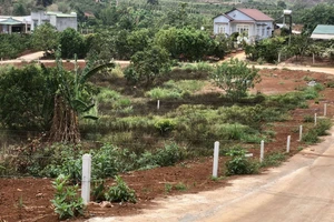 Lâm Đồng có văn bản chỉ đạo liên quan các văn bản hạn chế tách thửa