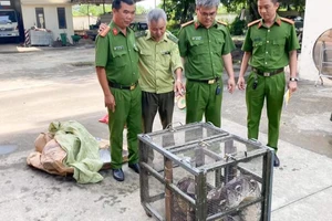 Hoảng hồn gặp trăn gấm nửa tạ trong nhà tắm