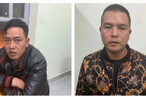 Lâm Đồng: Bắt 2 người hạ 143 cây thông 3 lá