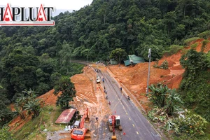 'Lý lịch' của đồi sầu riêng bị sạt đè sập chốt CSGT đèo Bảo Lộc