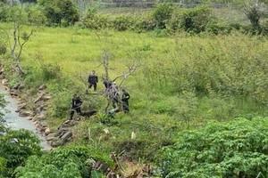 Trinh sát dùng chó nghiệp vụ truy bắt kẻ cướp trốn trong rừng, rẫy