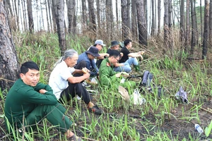 Trưởng phòng TN&MT huyện Bảo Lâm bị khởi tố