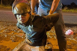 Quen nhau trong tù, về đời rủ nhau lập nhóm trộm xe