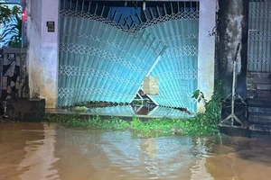 Mưa lớn kéo dài, Quốc lộ 20 đầu địa phận Lâm Đồng ngập sâu