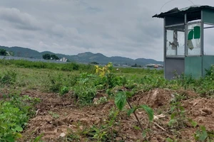 UBND tỉnh Lâm Đồng yêu cầu khẩn trương thi công nhà ở xã hội ở huyện Đức Trọng