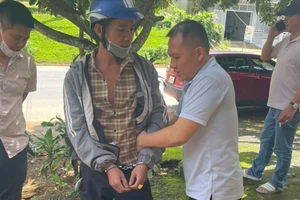 Vận chuyển con tê tê Java nặng 5,3 kg