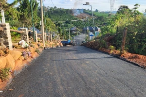 Tạm đình chỉ công tác chủ tịch xã Đam B’ri