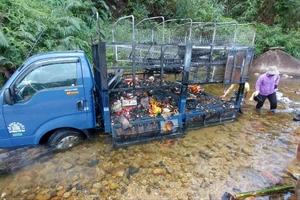 Xe tải đang chạy thì bốc cháy, tài xế lao xe xuống suối để dập lửa 