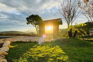 Về Đà Lạt "hóng" chuyện của nắng