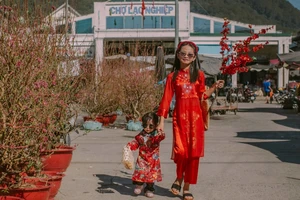 Xứ ngàn hoa vào mùa hoa tết