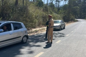 Đường về Đà Lạt trật tự, khách an tâm du xuân Giáp Thìn