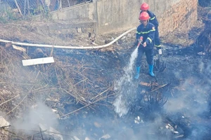 Đốt cỏ làm cháy lan vào khu dân cư ở Đà Lạt