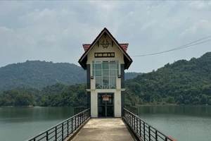 Lâm Đồng: Ngưng bầu, bổ nhiệm, luân chuyển lãnh đạo ở những huyện sáp nhập