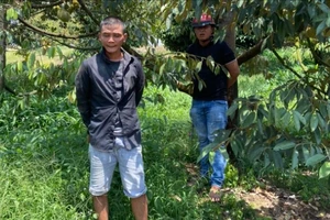 Từ Đồng Nai sang Lâm Đồng trộm sầu riêng thì bị công an bắt giữ