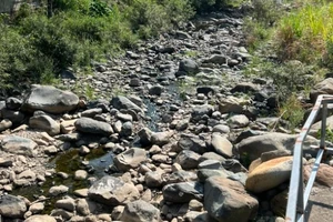 Hơn 700 hộ dân ở 1 thị trấn mất nước sinh hoạt, huyện có công văn hỏa tốc