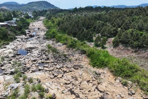Sông cạn trơ đá, nông dân ở thủ phủ sầu riêng Đạ Huoai như ngồi trên lửa