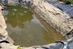 2 mợ cháu đuối nước dưới hồ nước tưới cà phê 